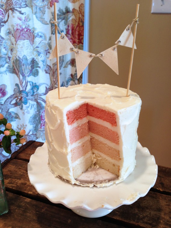 Ombre Gender Reveal Cake| Petal and Posie Cakes