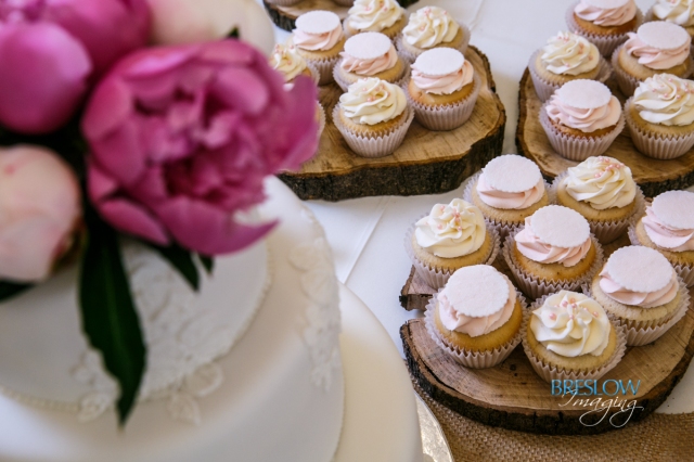 Pink and Lace Medallion Cupcakes | Petal and Posie Cakes